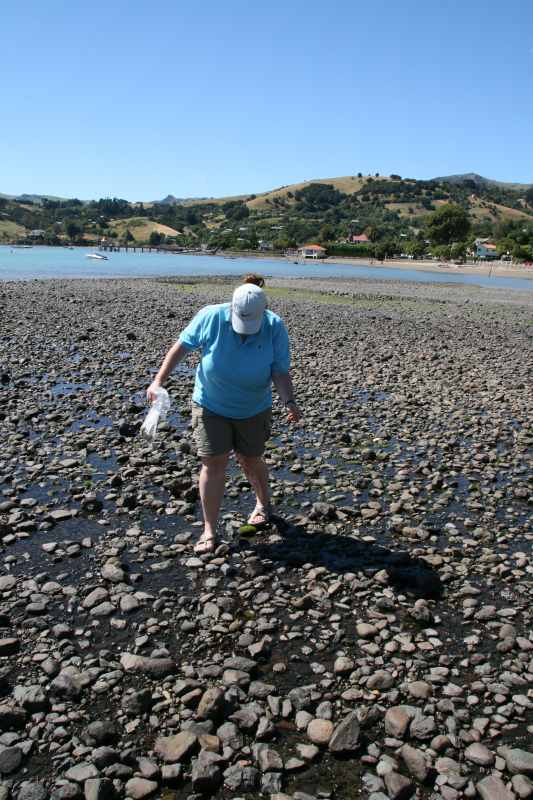 Nieuw-Zeeland 2011 - 2097